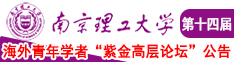 日了少妇小穴南京理工大学第十四届海外青年学者紫金论坛诚邀海内外英才！